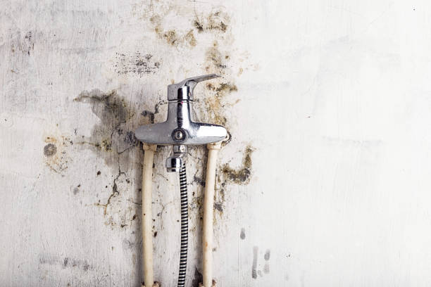 Best HVAC Mold Remediation in Tahlequah, OK